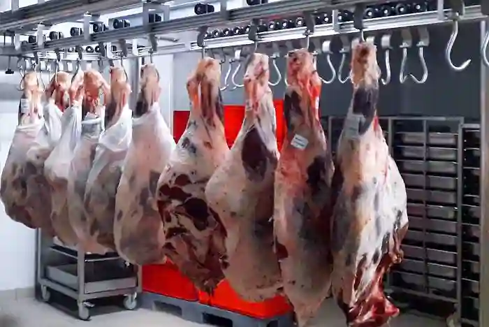 گوشت فاسد در ایلام