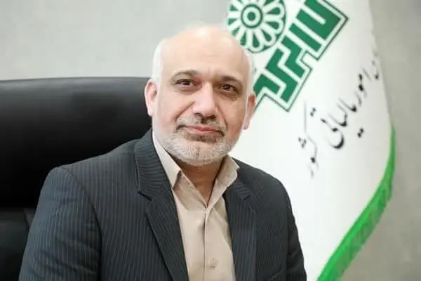 مدیر کل امور مالیاتی ایلام